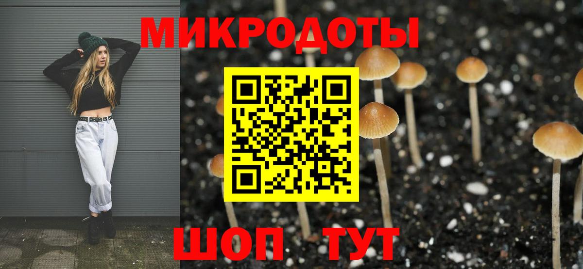 Псилоцибиновые грибы мицелий  Вход с VPN  Нефтекумск 